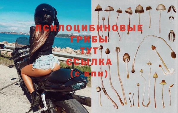 гашишное масло Елабуга