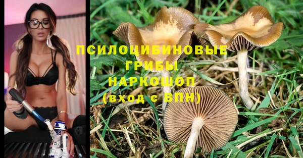 гашишное масло Елабуга