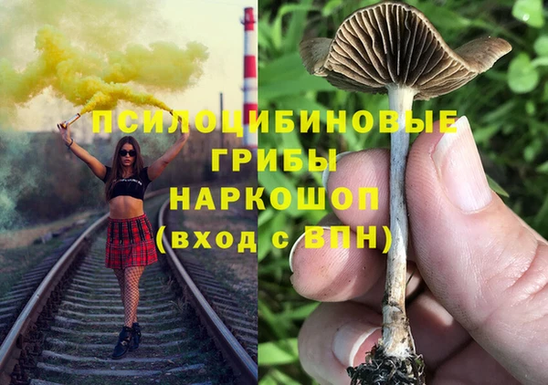 2c-b Елизово