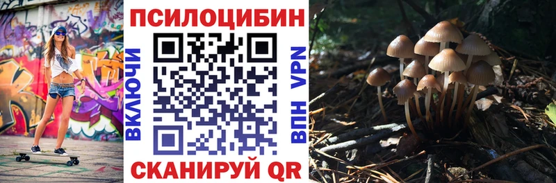 хочу наркоту  Славск  MEGA ТОР  Галлюциногенные грибы мицелий 